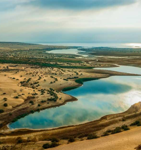 Fayoum Desert One Day Adventure